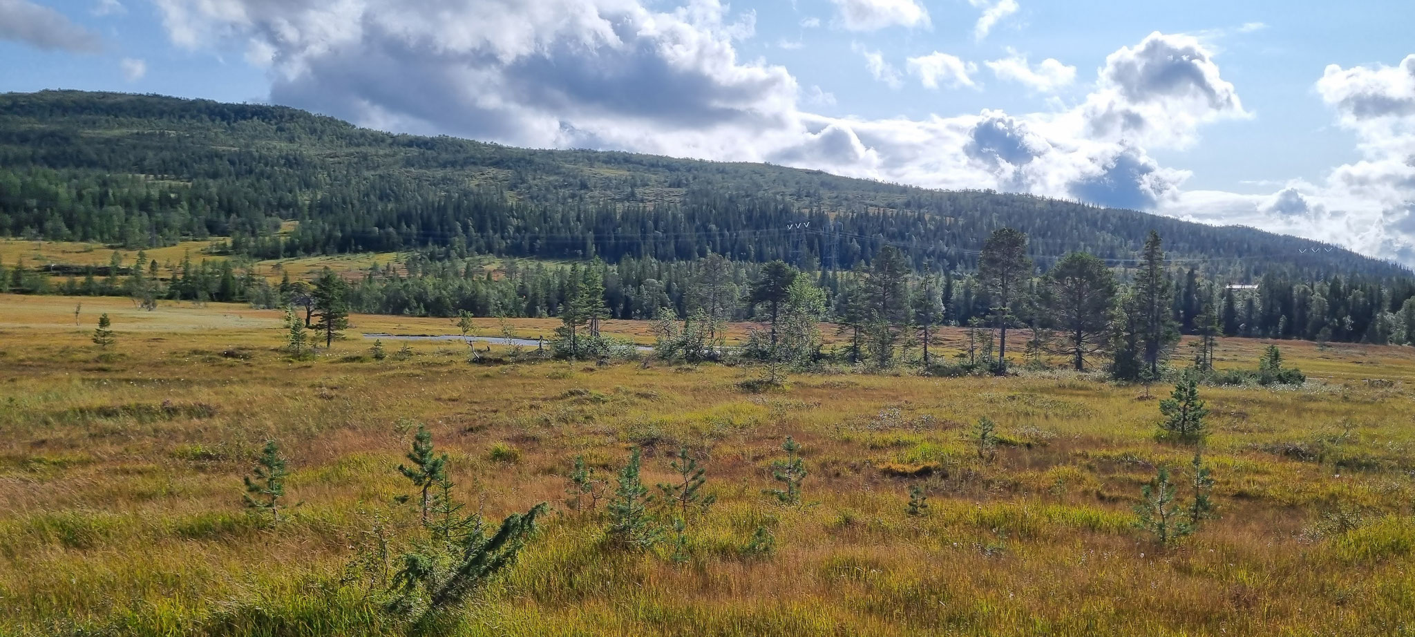 Die Landschaft ist ein Traum