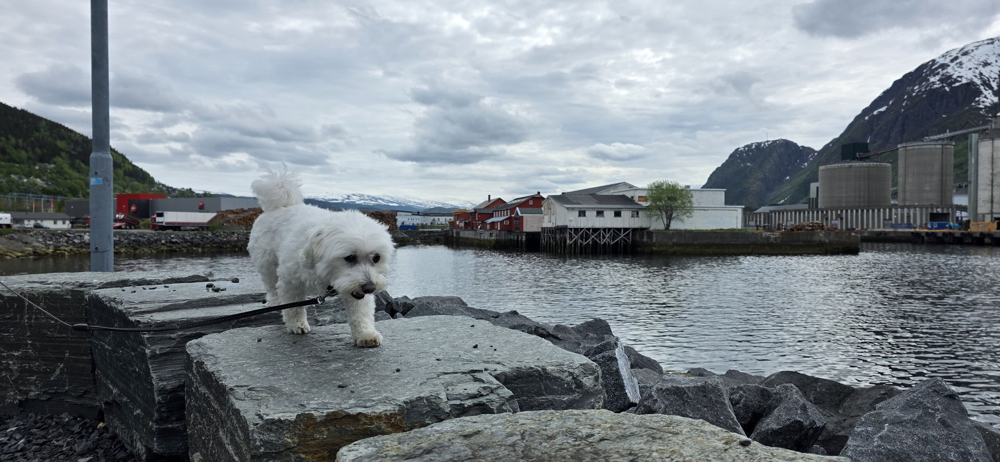 ...sichtlich wohl am Hafen