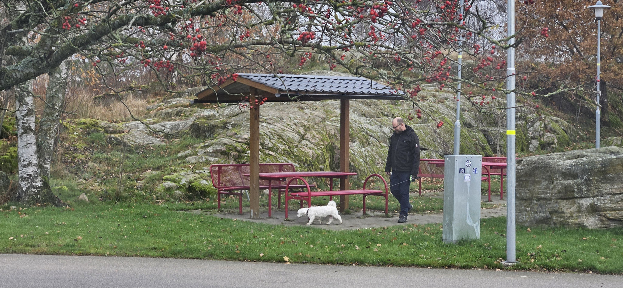 Daniel und Wilson im Japanischen Garten?