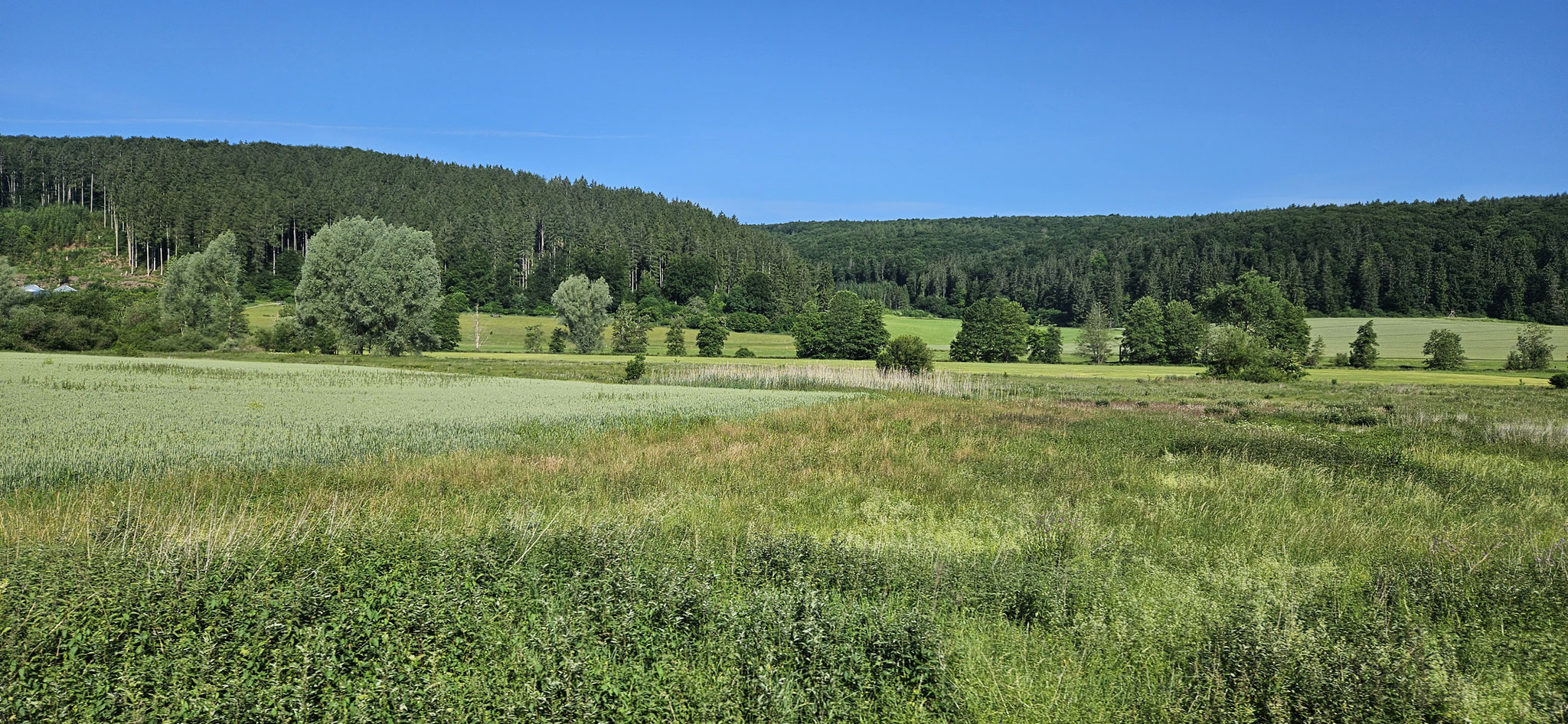 Wir machen uns wieder auf den Heimweg...