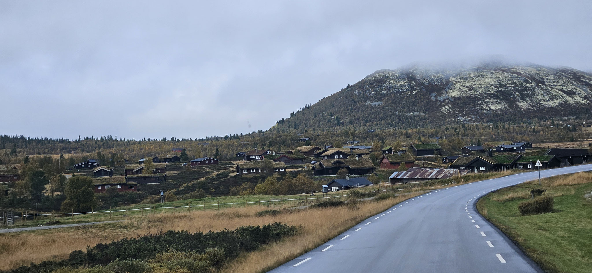 Vielleicht sogar Moschussochsen?