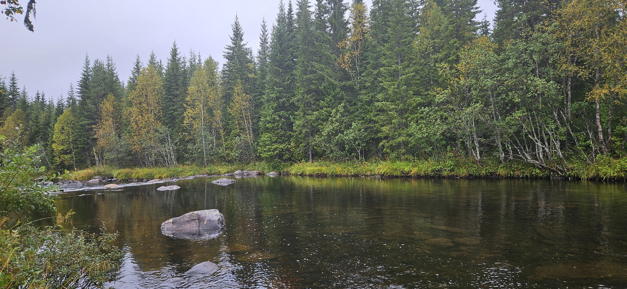 ... es fehlt nur noch der Elch...
