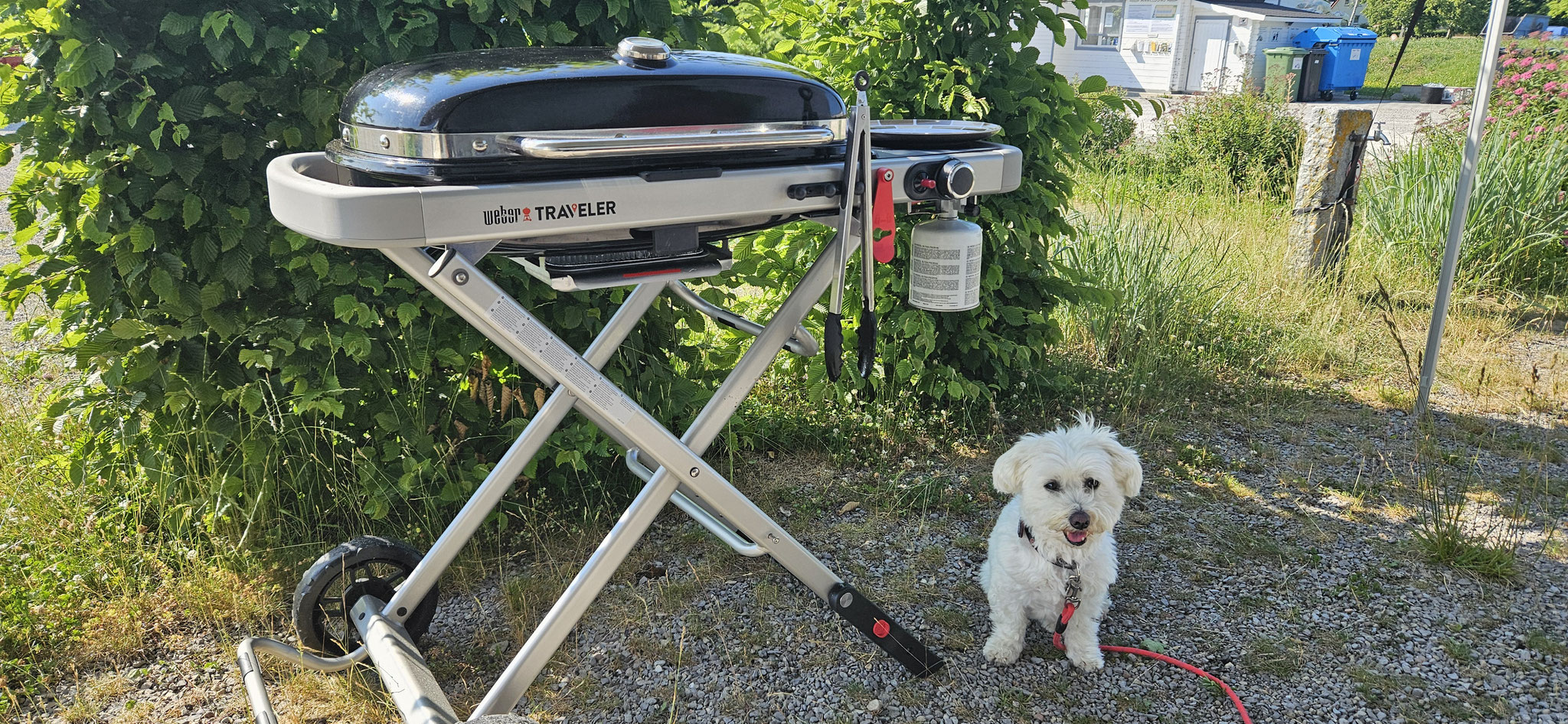 ...und eine Wurst vom Grill darf auch nicht fehlen, sagt Wilson