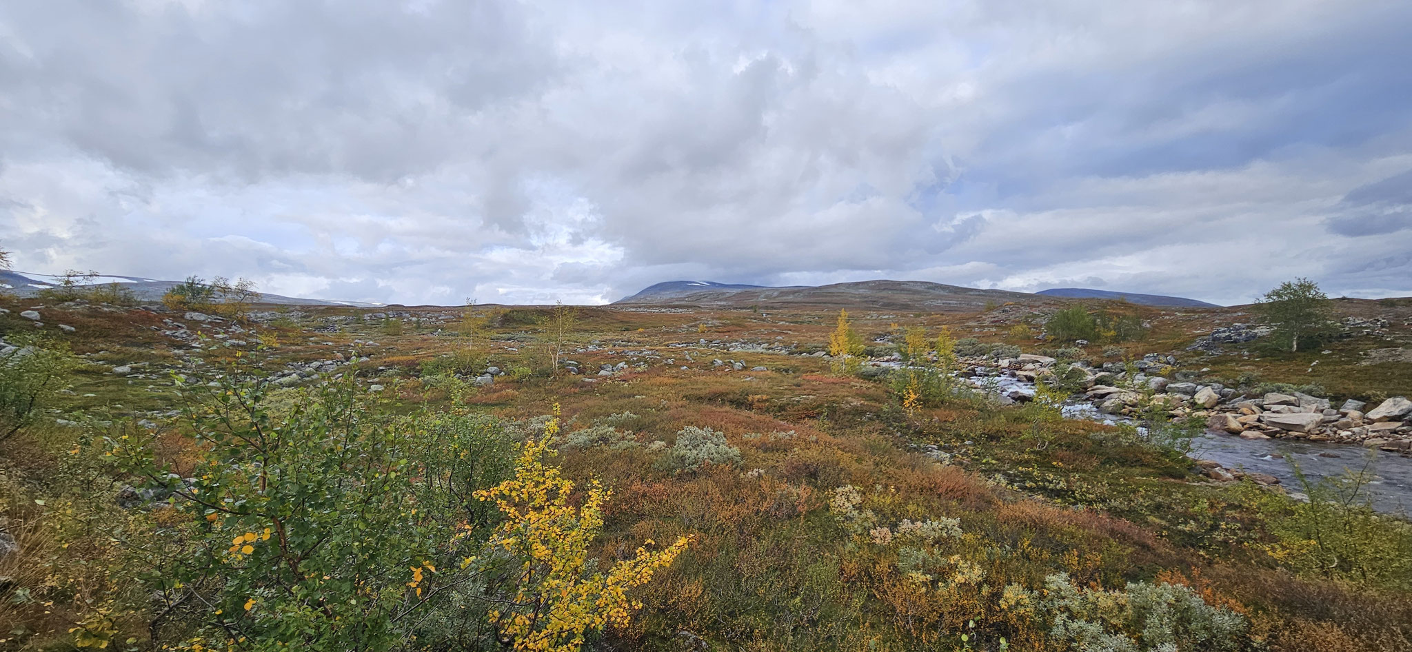 Die herbstlichen Farben...