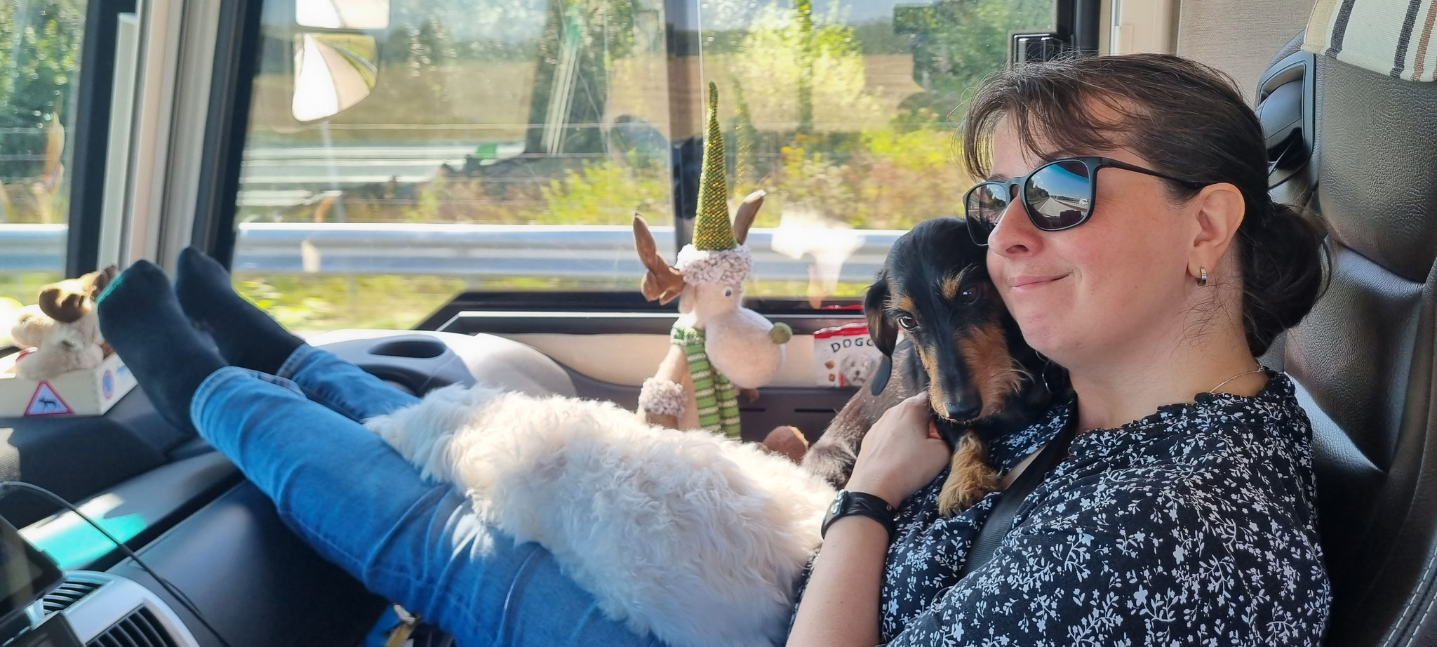 Kuschelstunde während der Fahrt