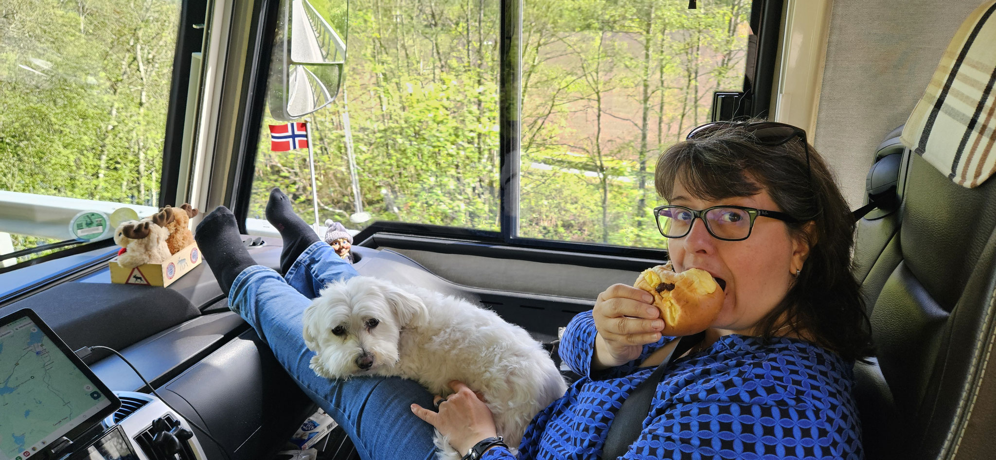 Daniela hat einen Magenbrennen-Bullar bekommen