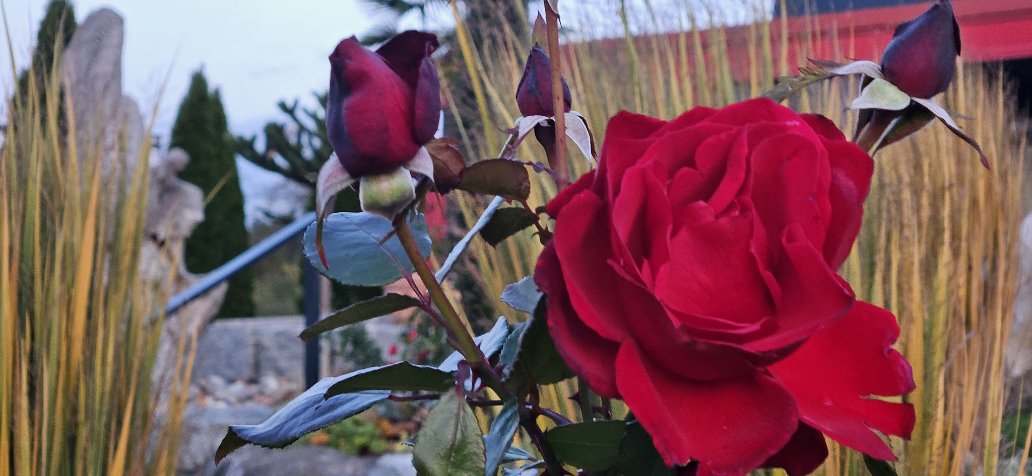 Einen wunderschönen Abend wünschen wir