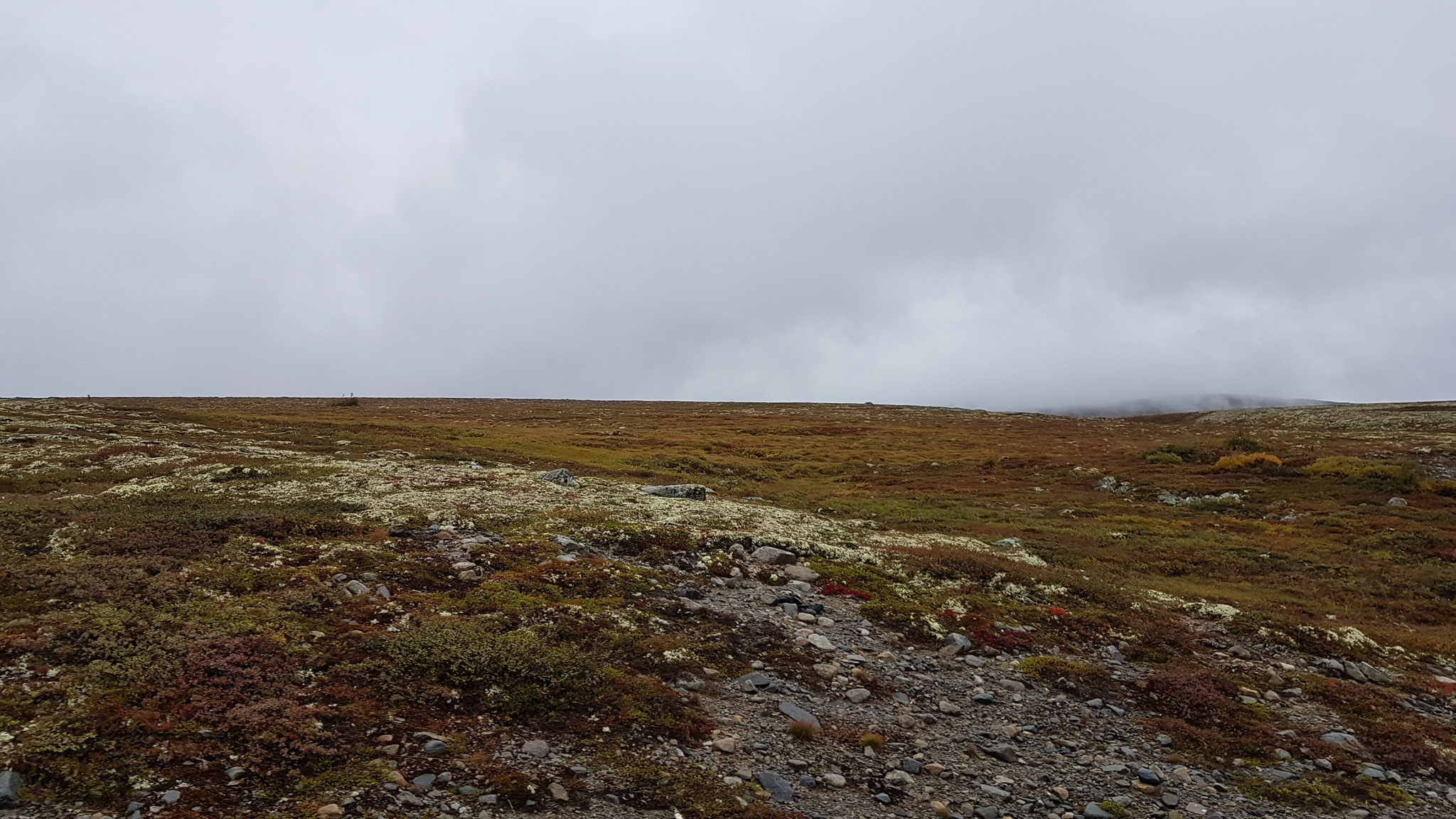 Hardangervidda - Hochebene