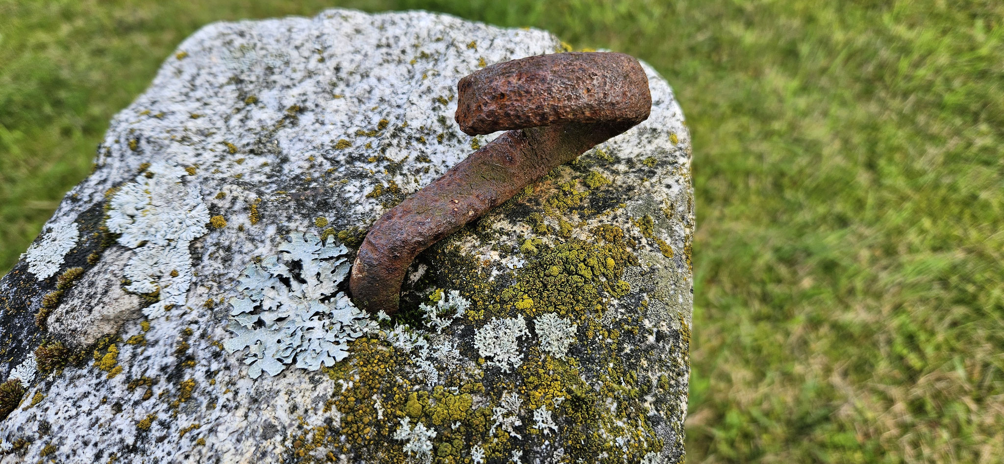 Wir haben eine potentiell wichtige Entdeckung gemacht