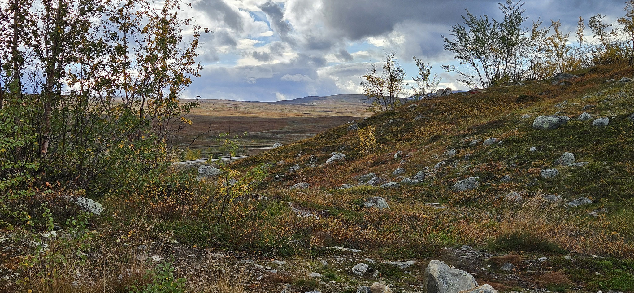 Leider haben wir viel zu wenig Zeit...