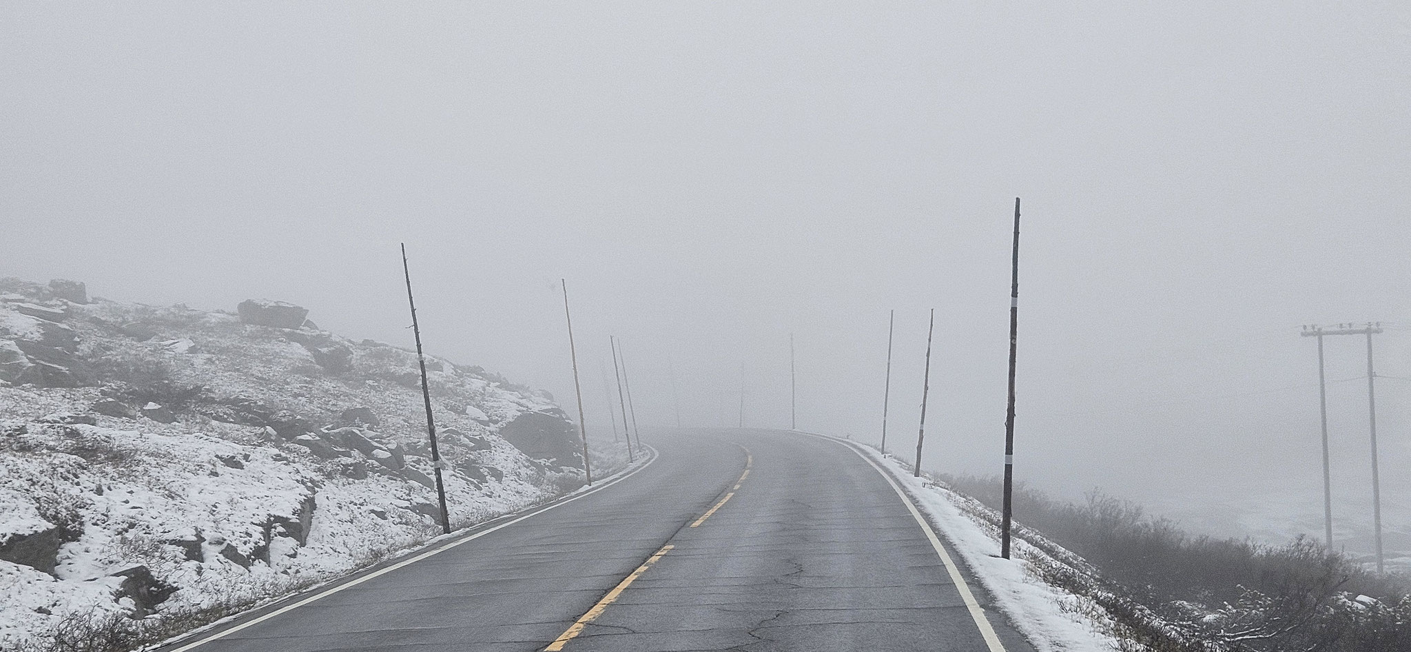Dicker Nebel und sehr grosse "Stängele"