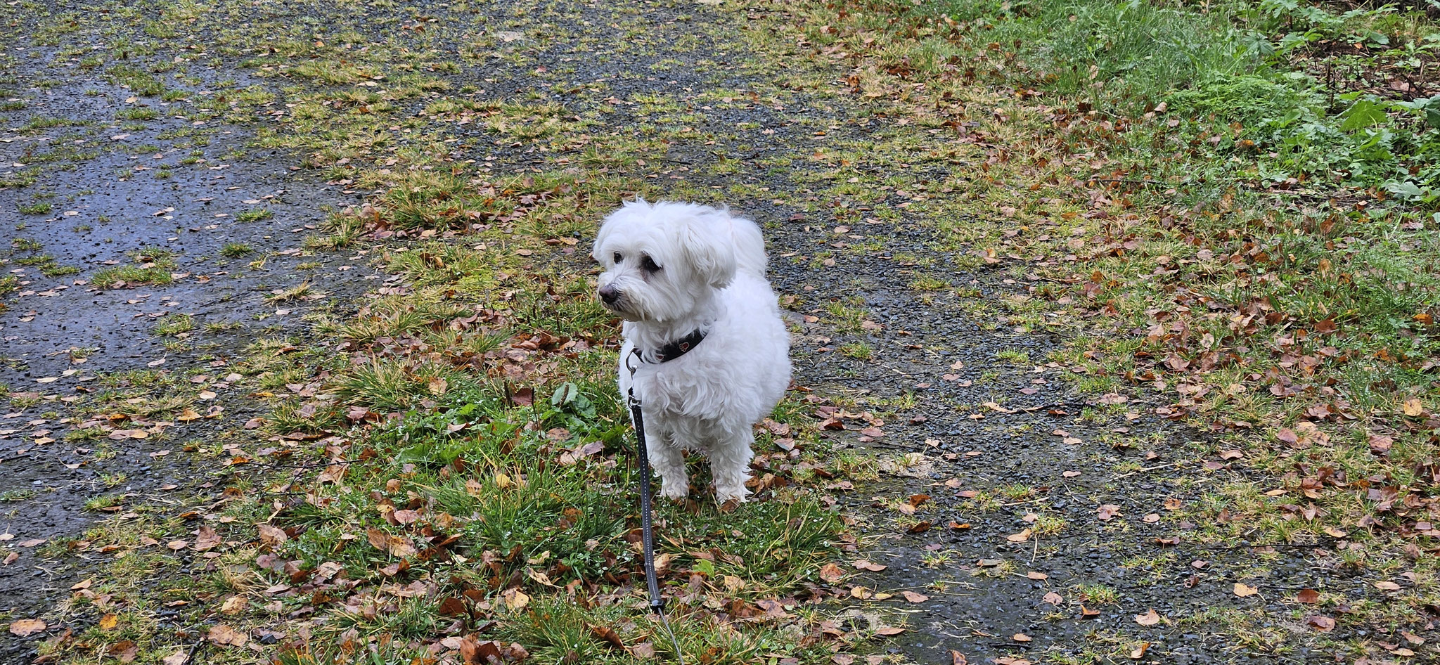 Wo? Soll ich sie suchen?