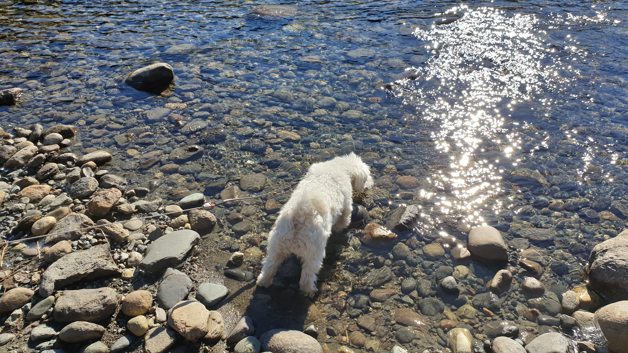 Wilson wagt den Schritt ins Wasser