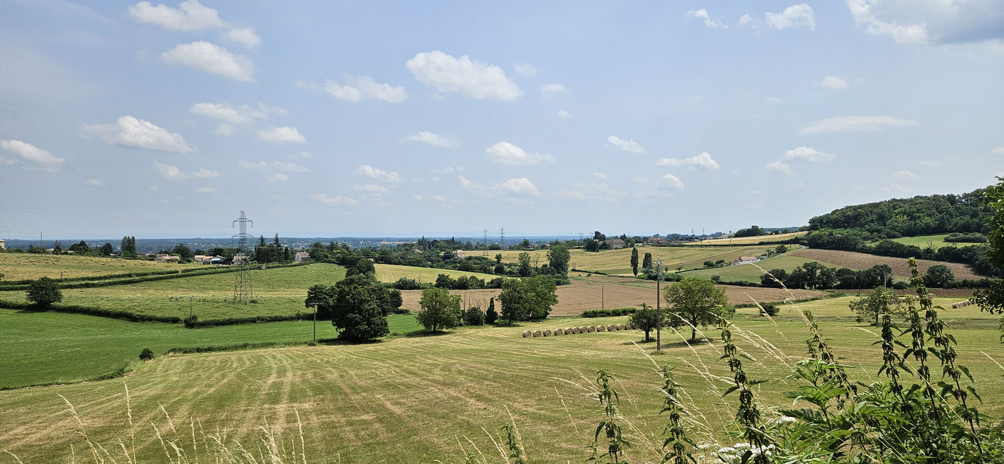 So sieht Sommer aus