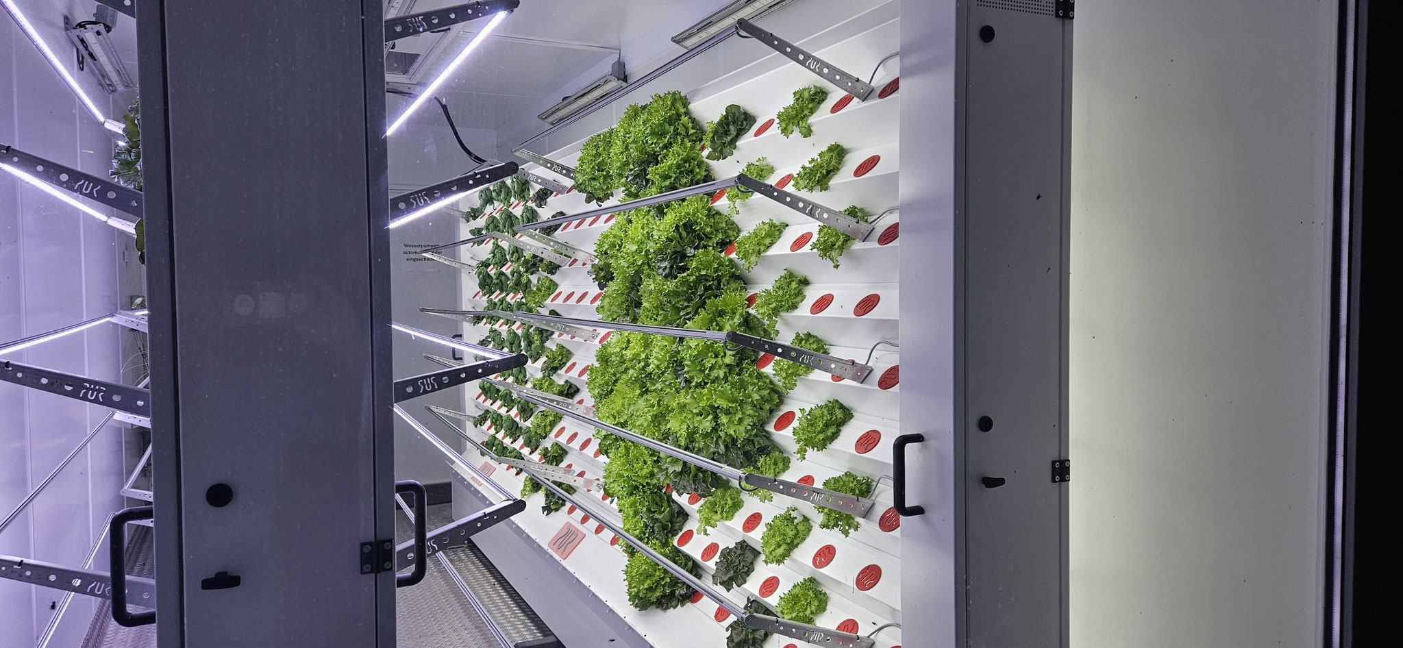 940 Pflanzen - ein Container für jedermann? Naja - für 68'000 Euro? Aber trotzdem genial!