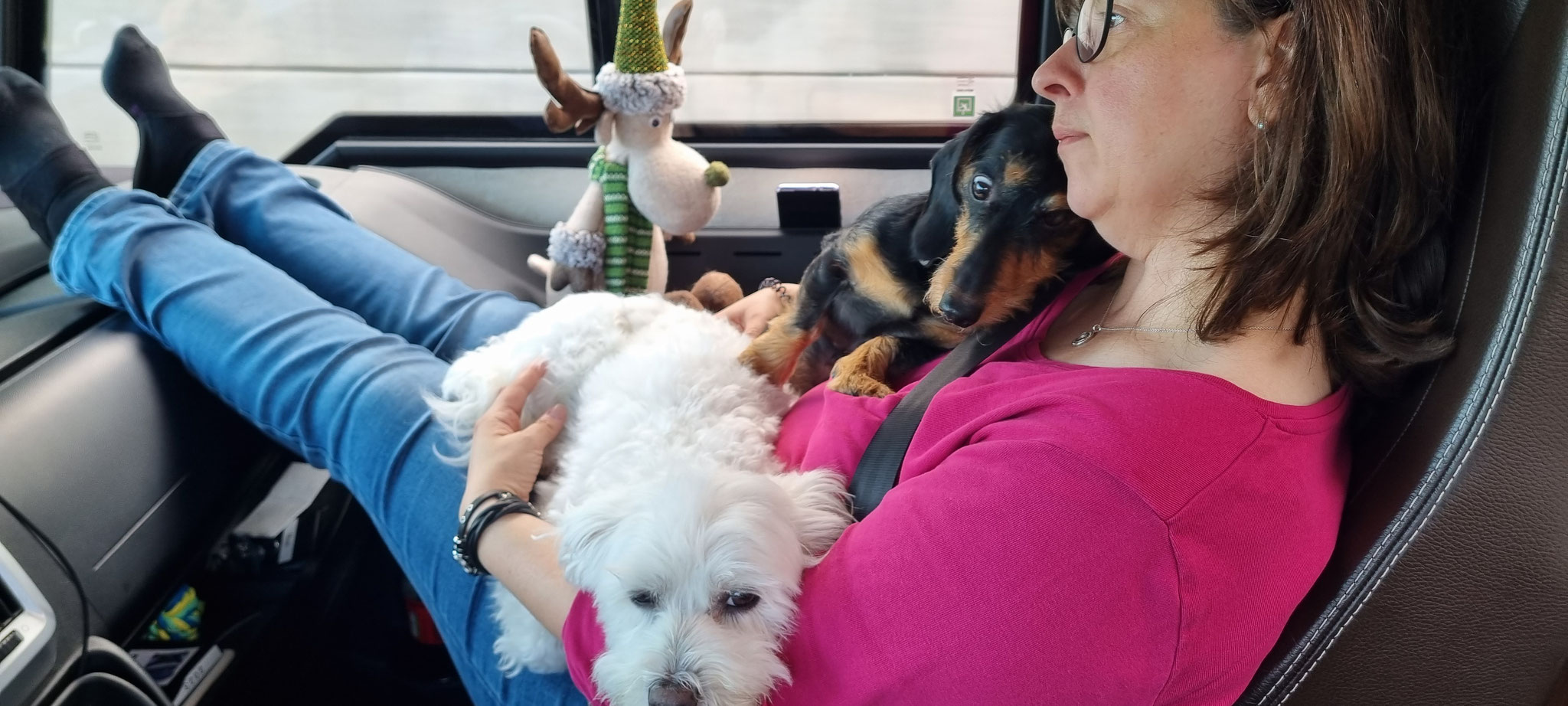 Schon wieder zwei Kuschelhunde