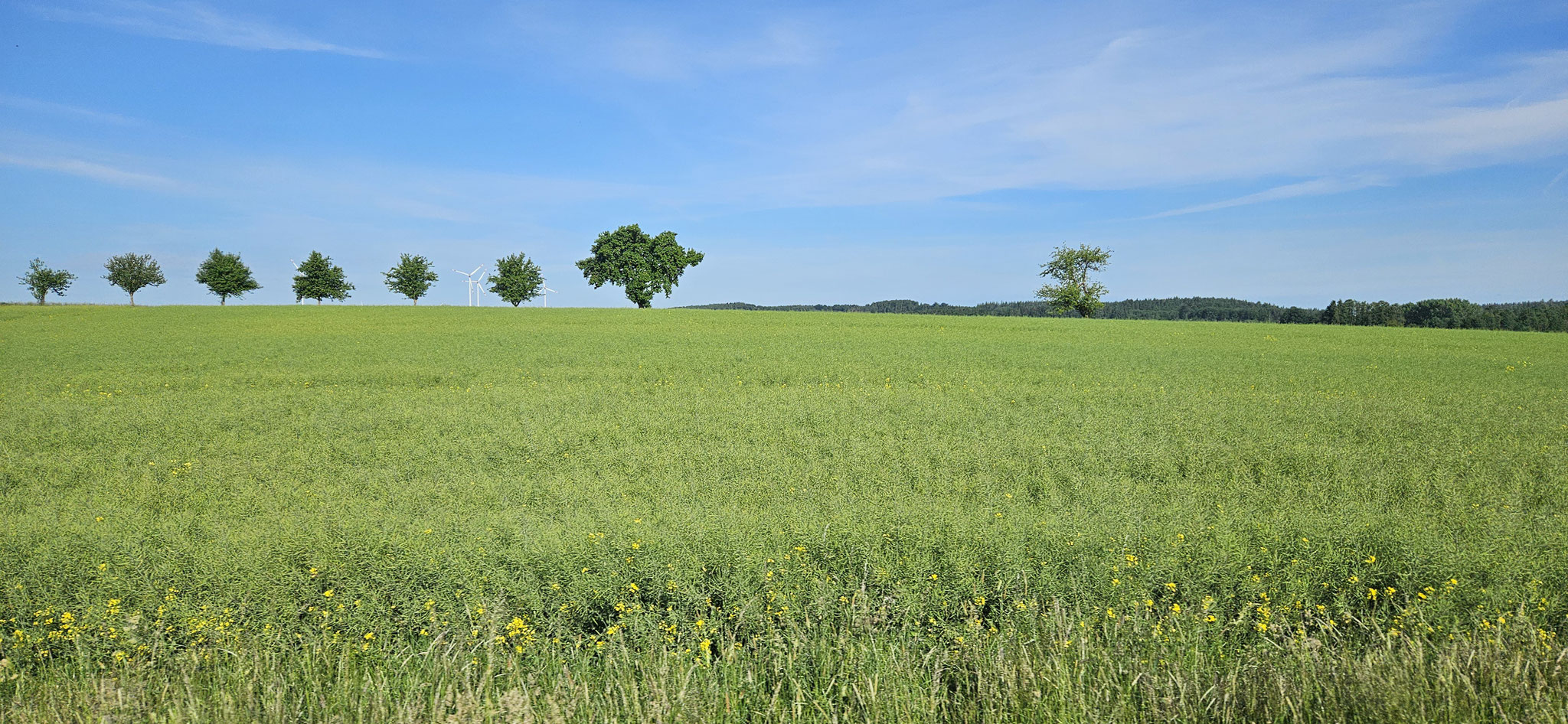 Schöneres Reisewetter...