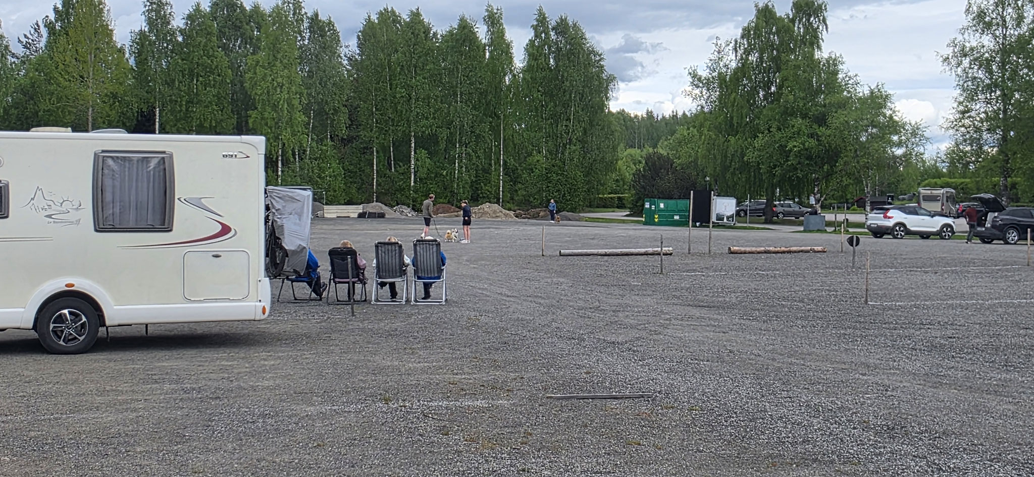 4 Norweger gucken Hundeschule