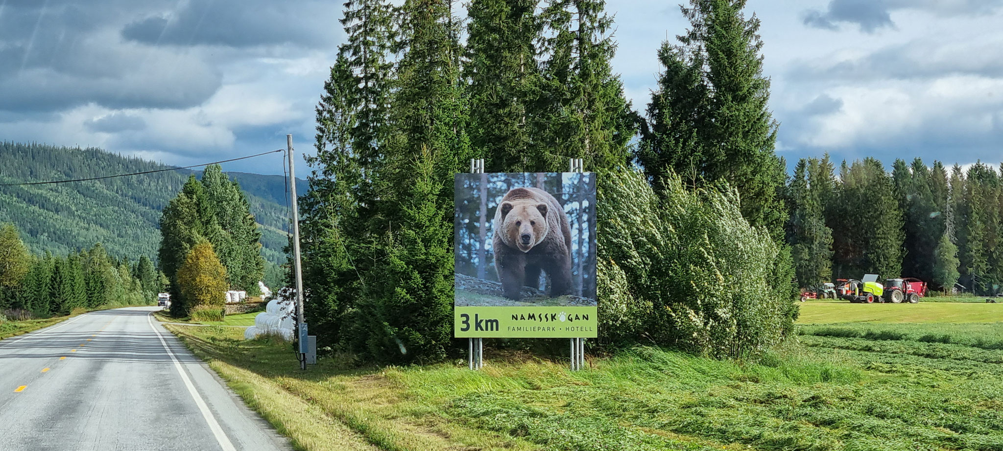 Der Bär von Namsskogan