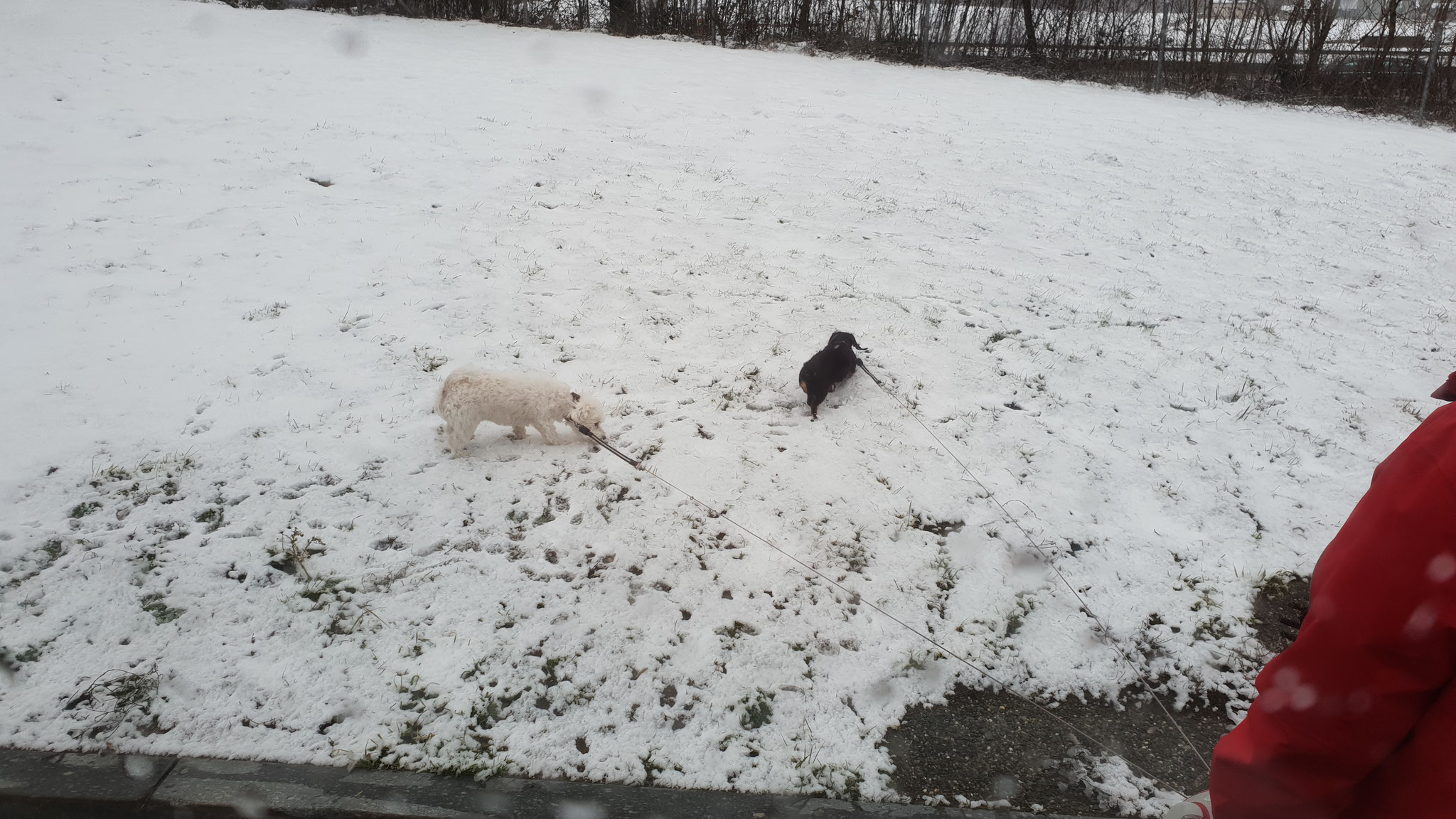 Uiii wie das stürmt und schneit