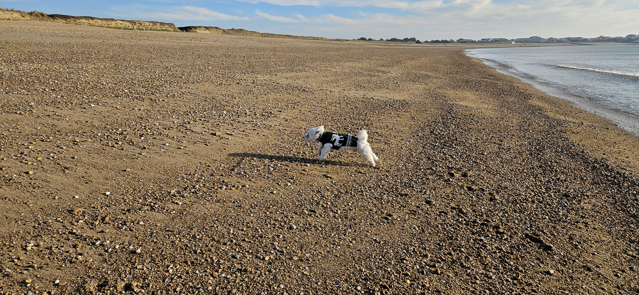 ...ein paar Runden am Strand