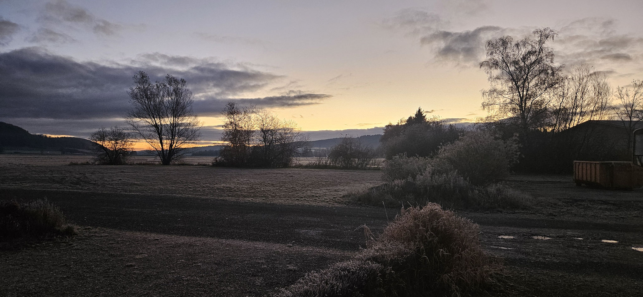 Frost auf den Büschen aber die Sonne kommt hervor...