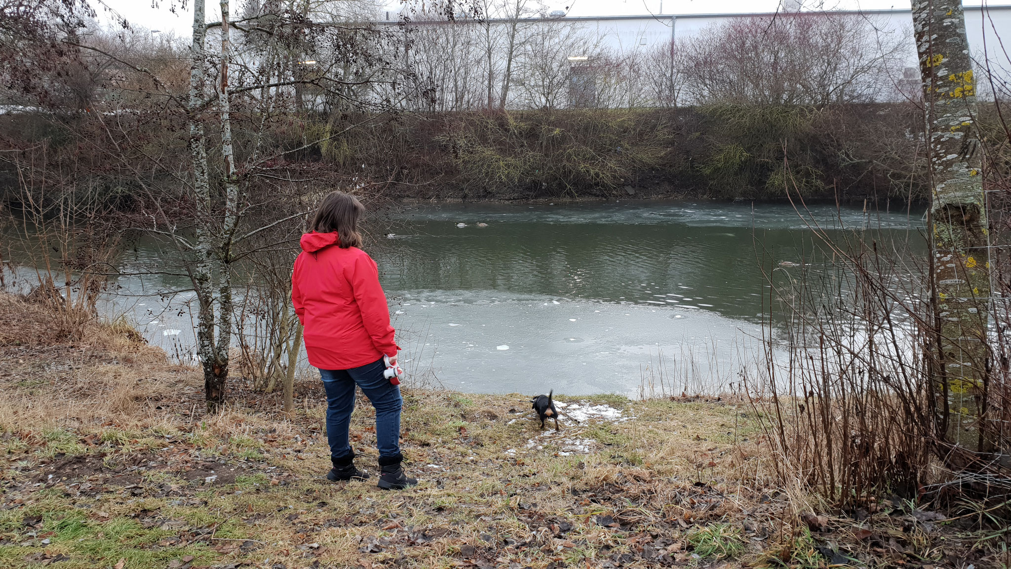 Den Enten und Schwänen müssen wir nachher noch Brot bringen