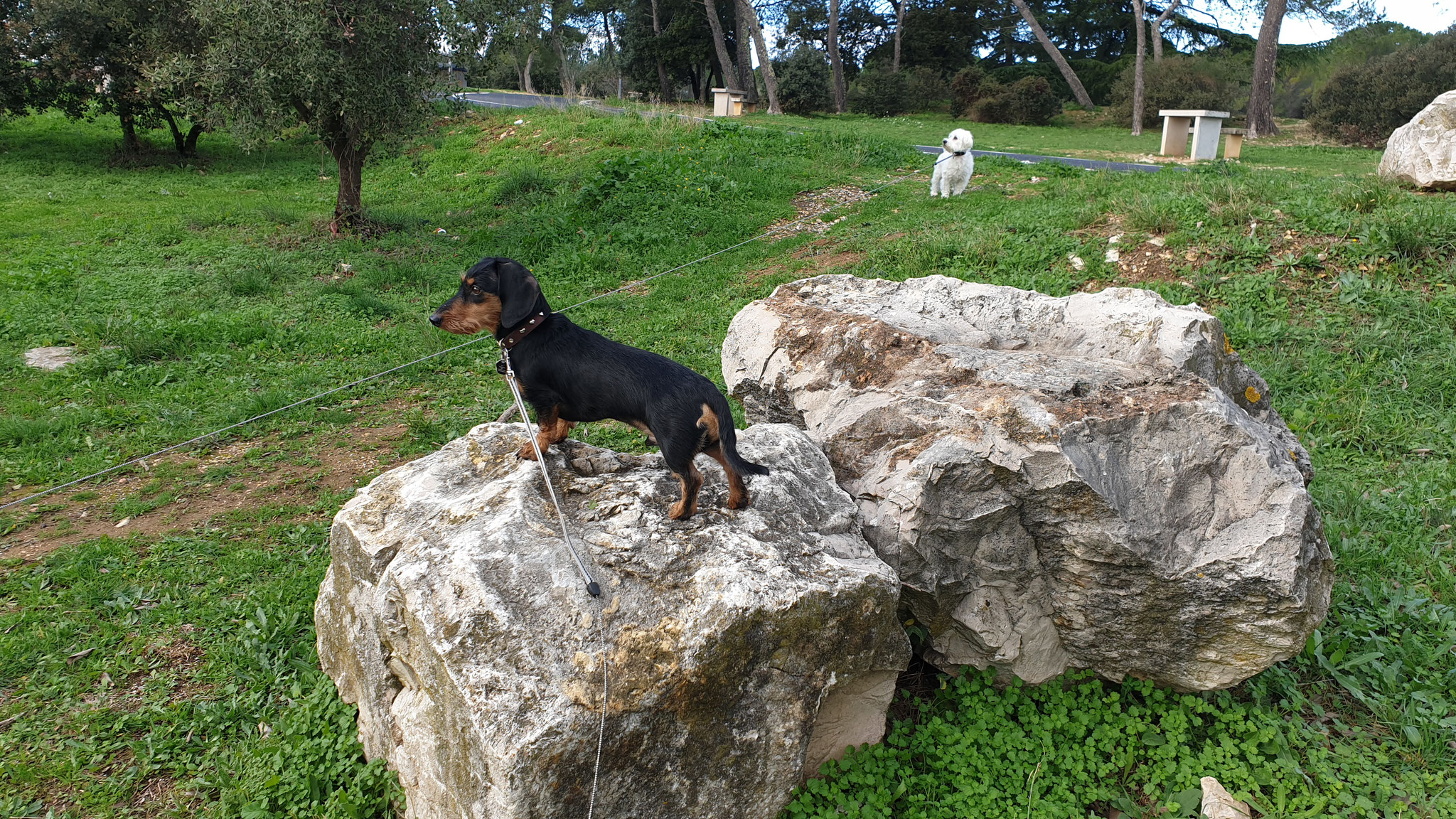 Unsere kleine Bergziege