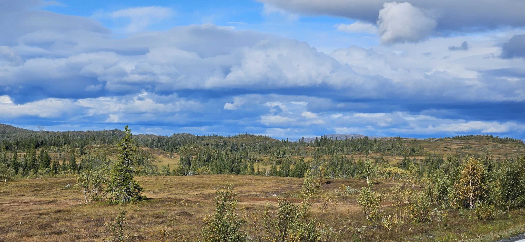 Die Hochebene, bevor es zurück nach Norwegen geht...
