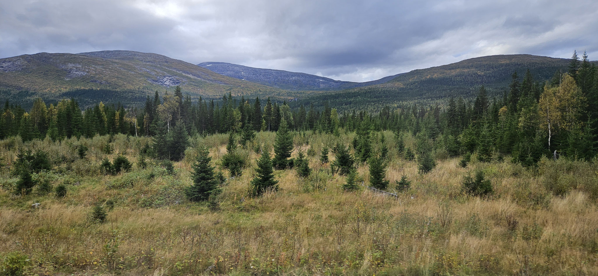 Es ist so traumhaft hier