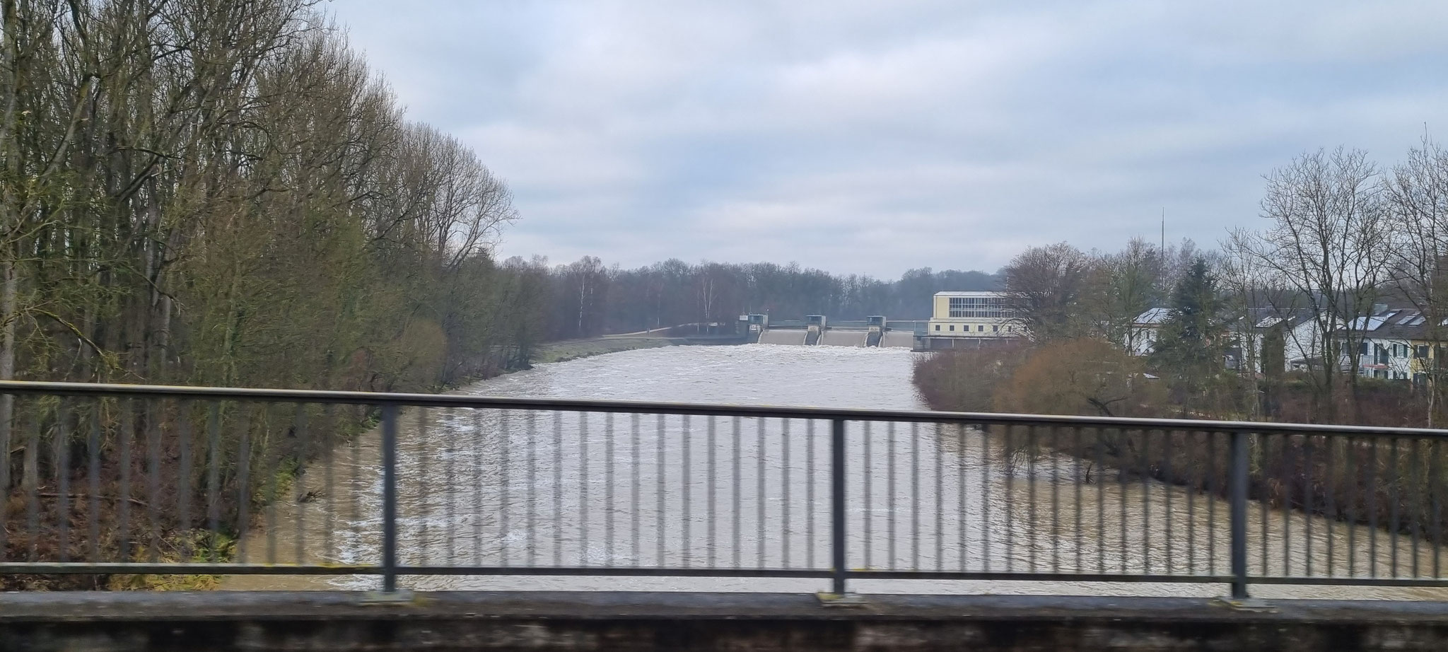 Ziemlich viel Wasser in der Donau