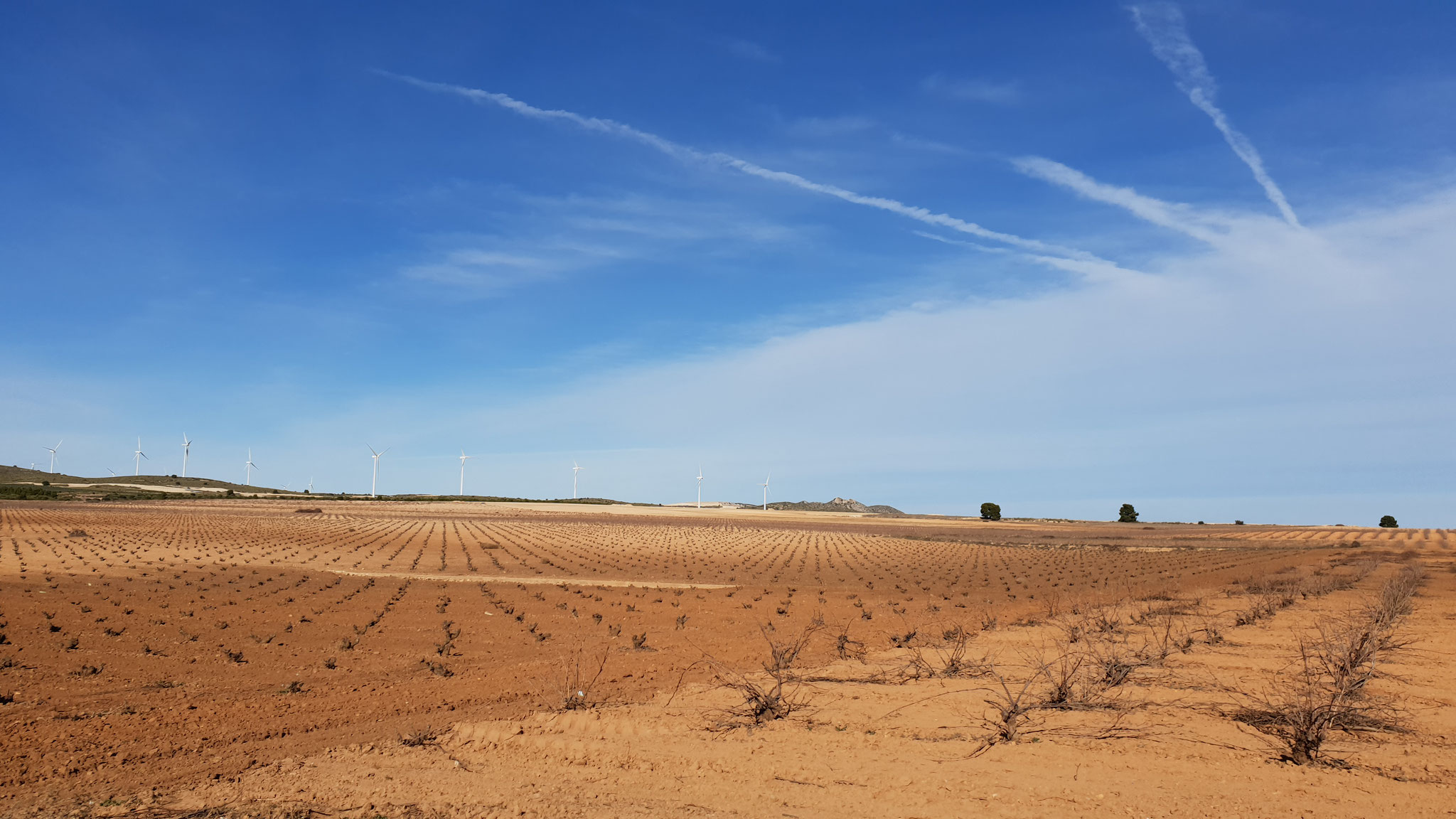 Wüstenlandschaft ... wunderschöne Farben