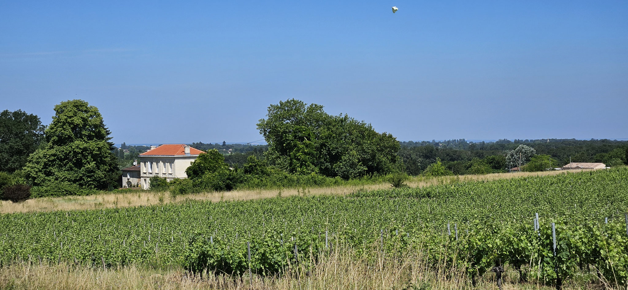 Weinberge mit Keltereien und Fabriken...