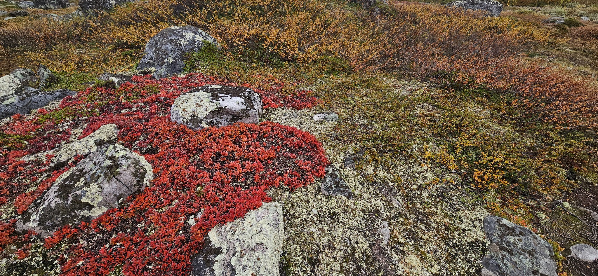 Wunderschöne Farben