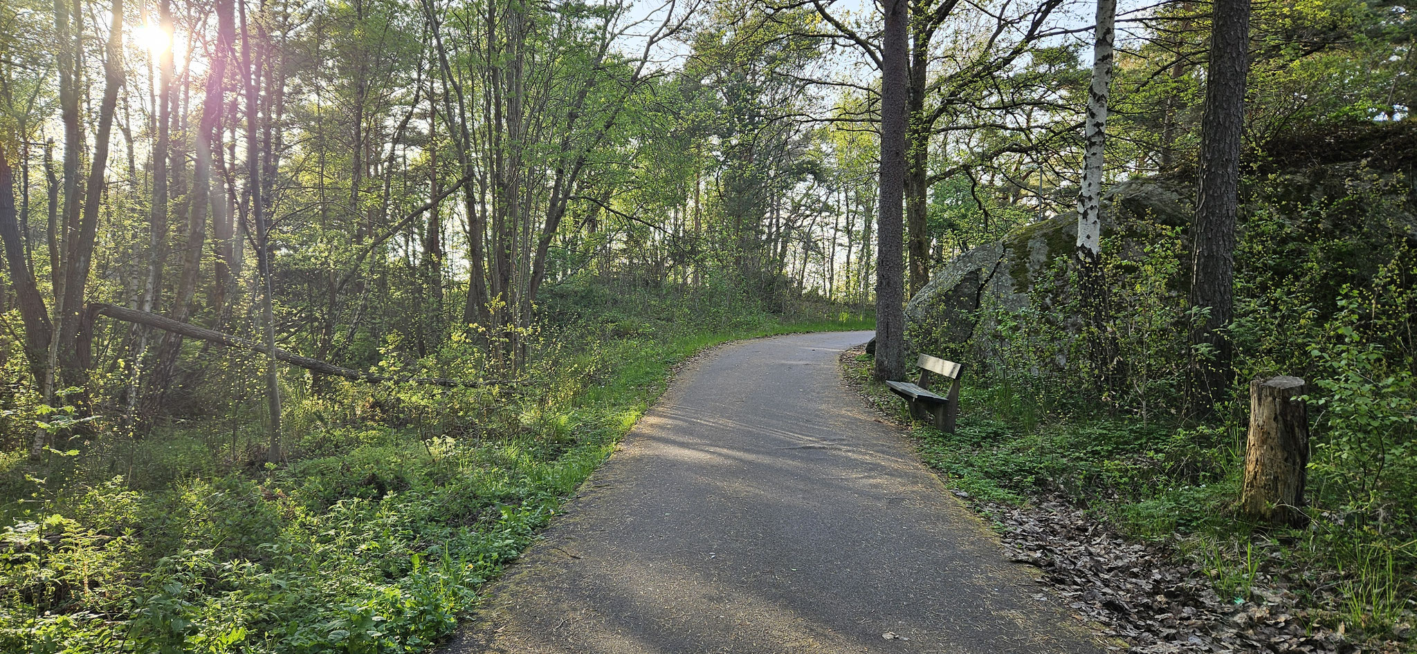 Wo der Weg wohl hinführt?