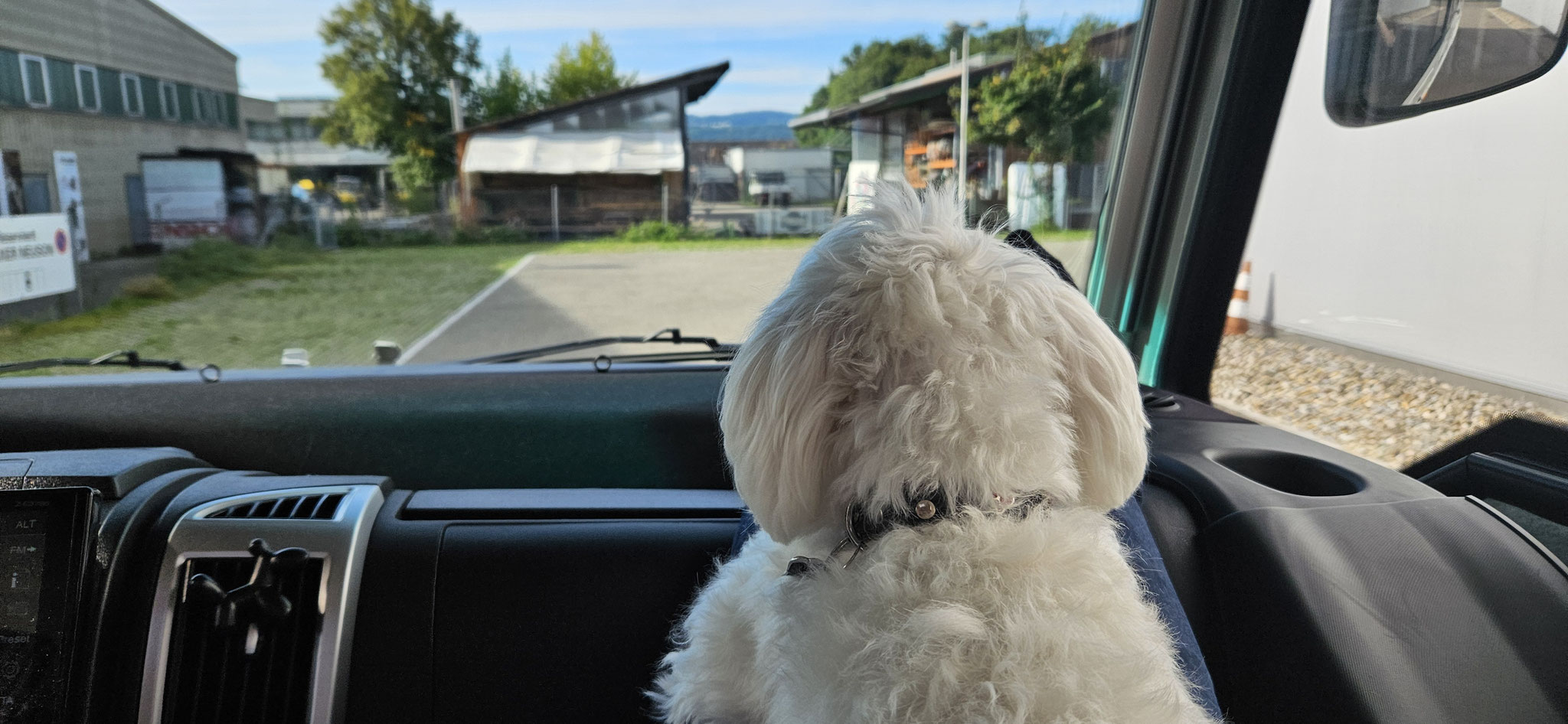 Wilson navigiert uns perfekt vom Hallengelände