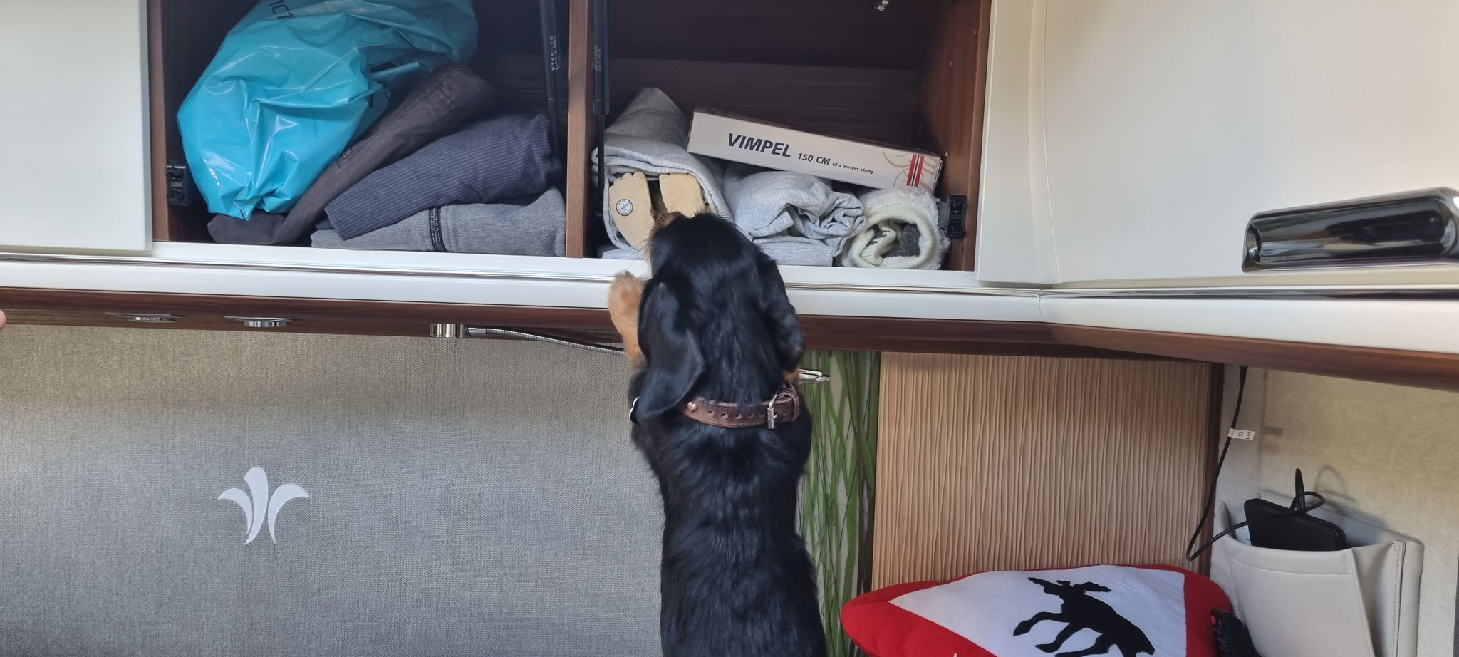 Papa - hier ruft jemand im Schrank nach mir...