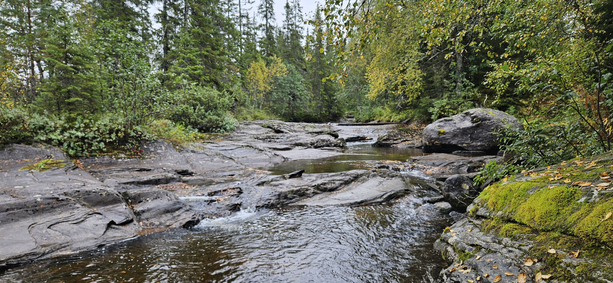 ...viele Wichtel und Trolle...