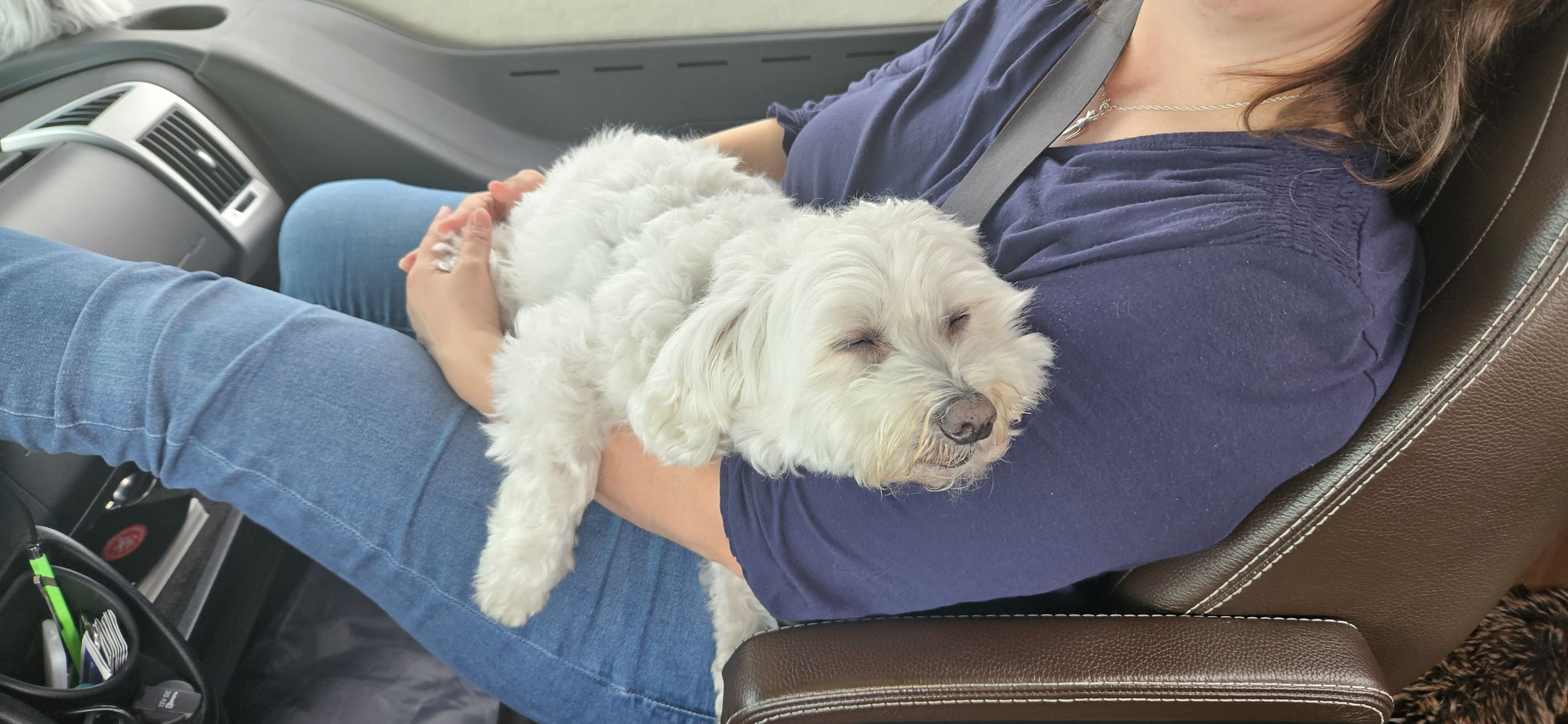 Wilson geht es wieder super - er schläft entspannt