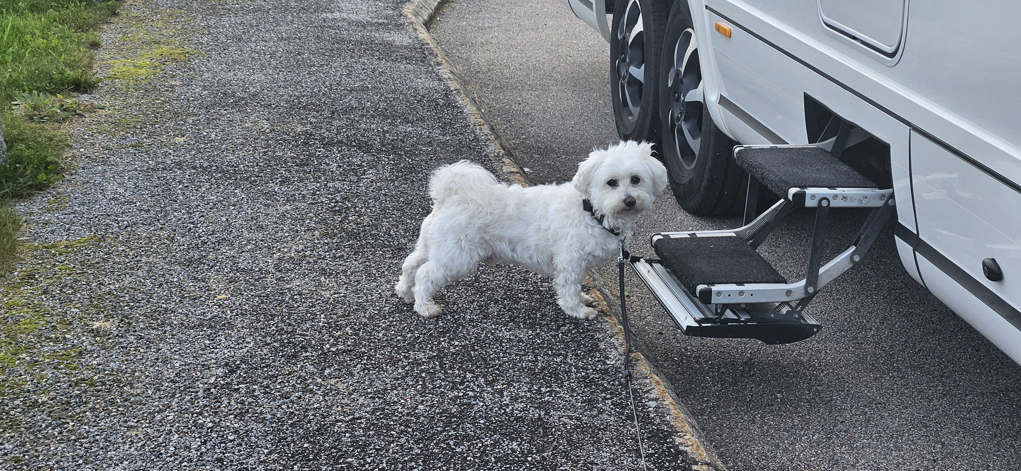 Los jetzt! ABBA an und durch Schweden hindurch