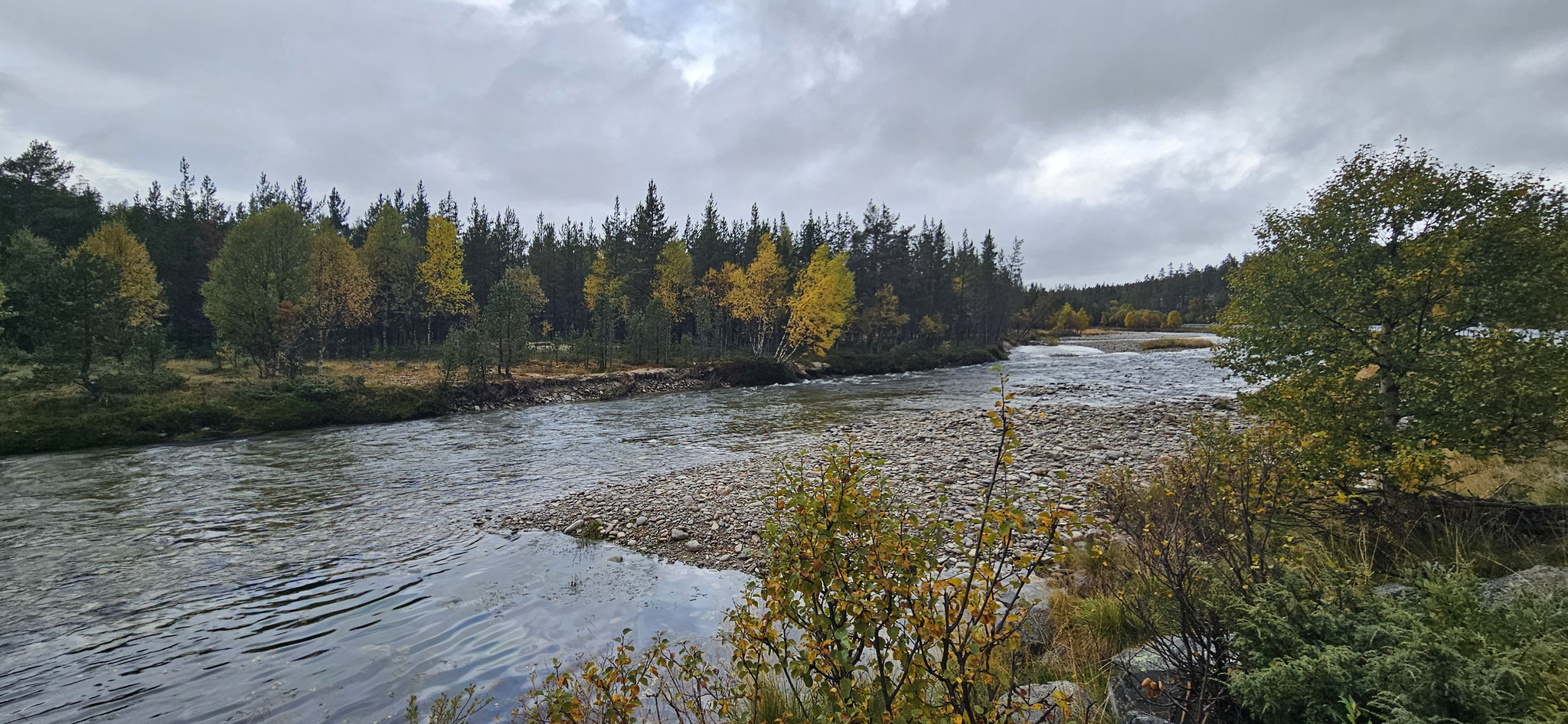 Wir können uns nicht sattsehen
