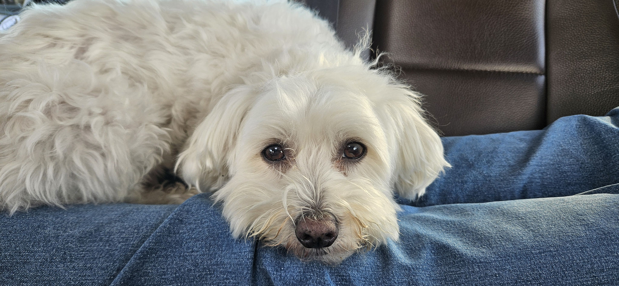 Müssen wir wirklich zurück in den Süden?