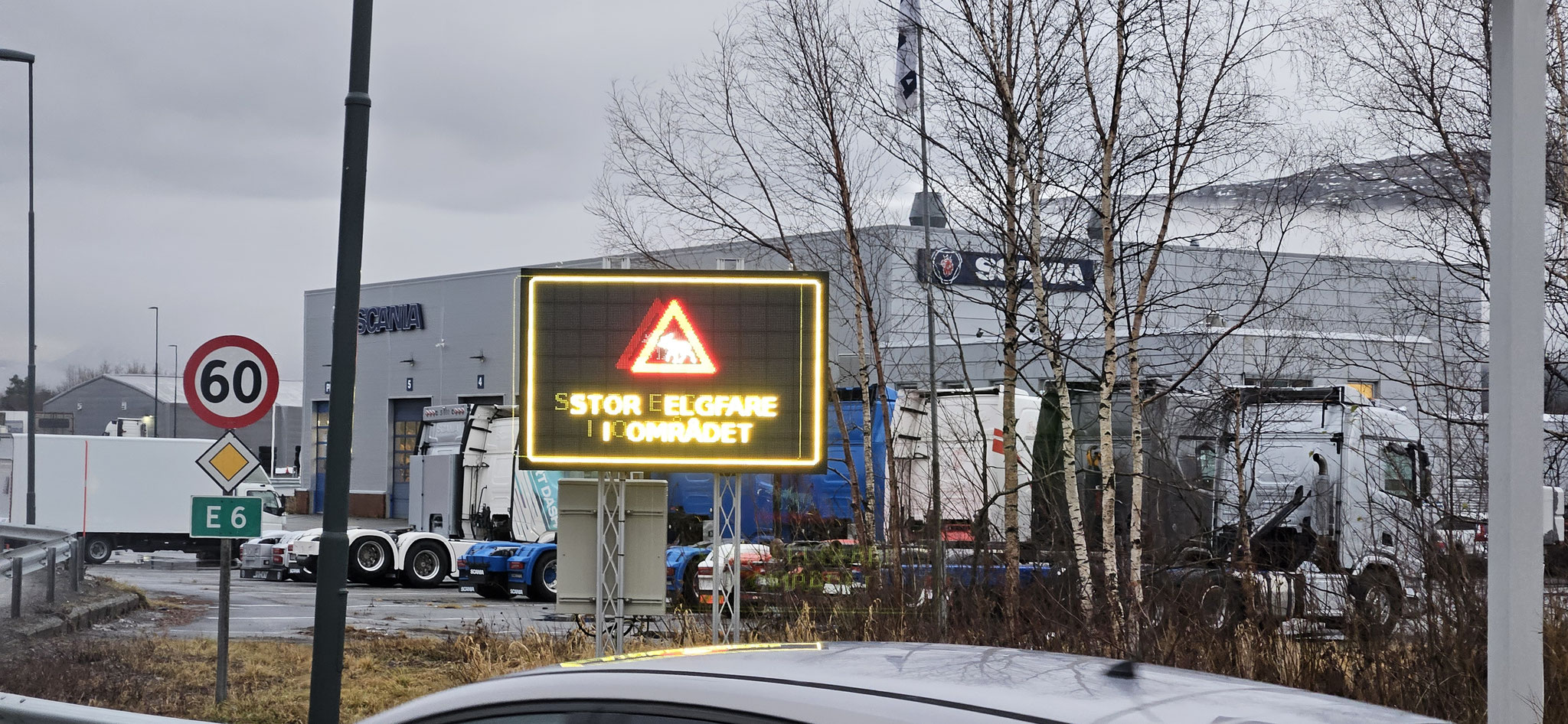 "Stor Elgfare i Området" - Grosse Elchgefahr in der Gegend aber leider keinen gesehen