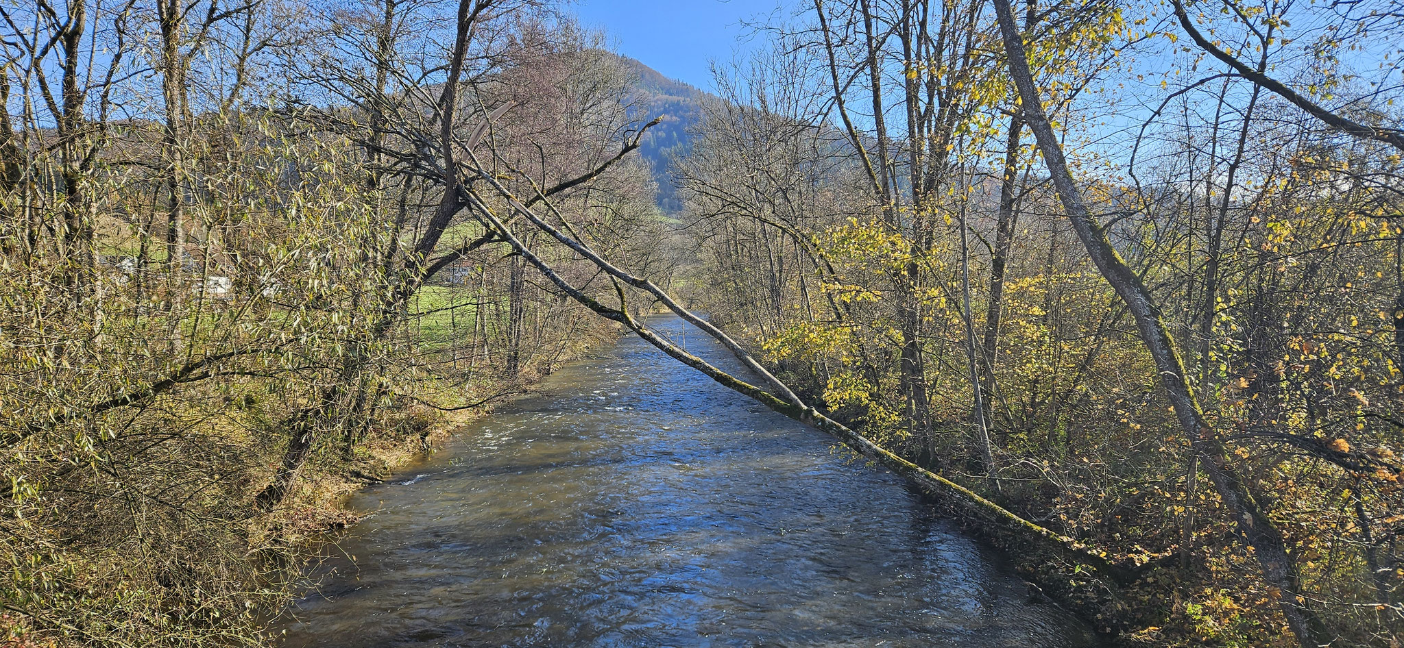 Die Wutach