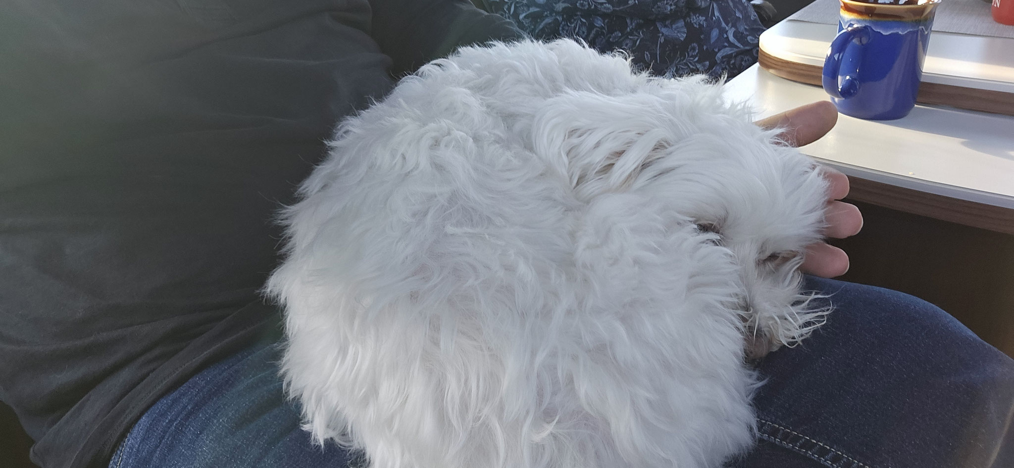 ...eingekuschelt bei uns zu liegen