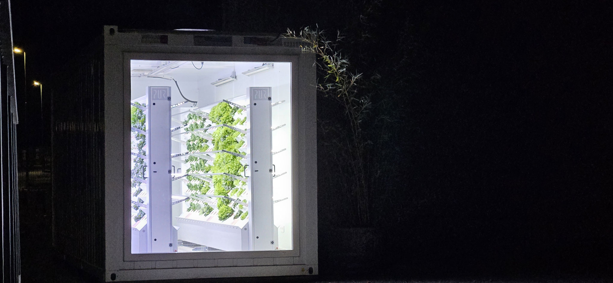 Wir entdecken einen hell erleuchteten Container mit Gemüse