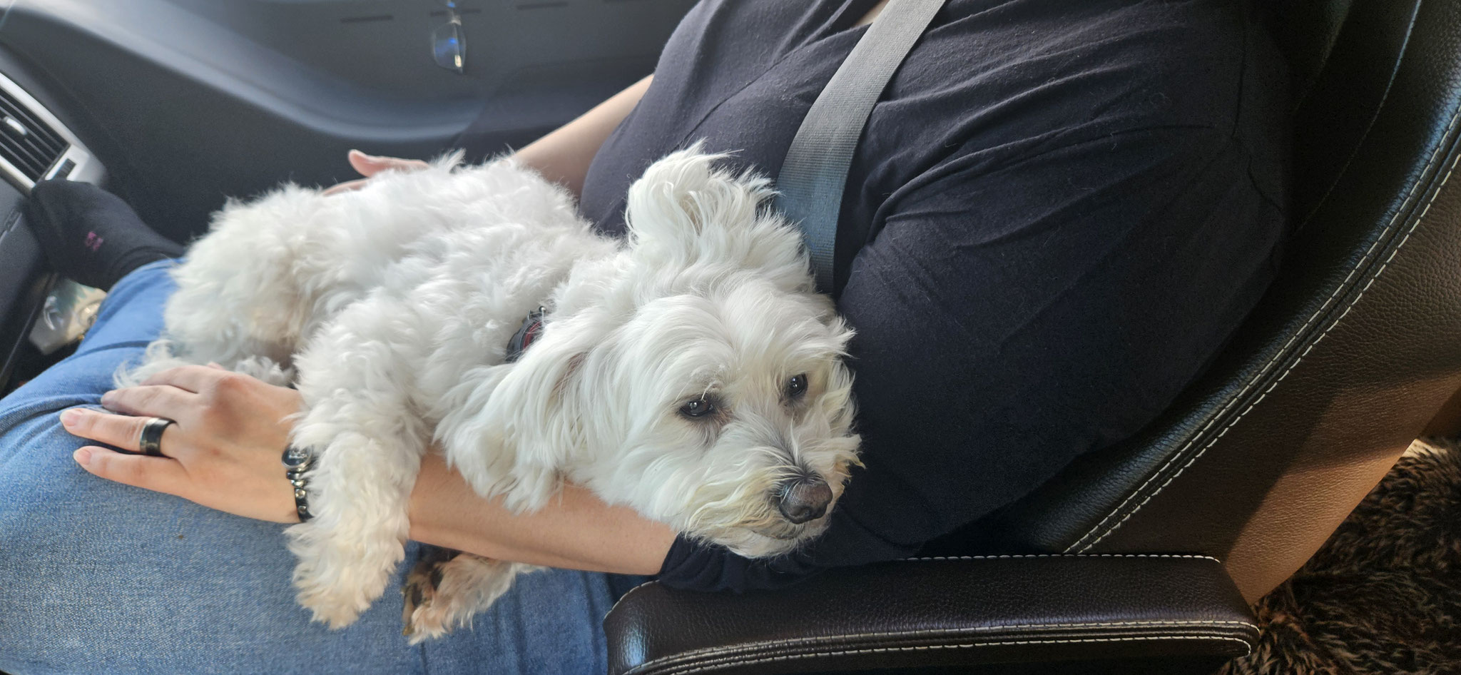 ...Wilson kuschelt sich ein