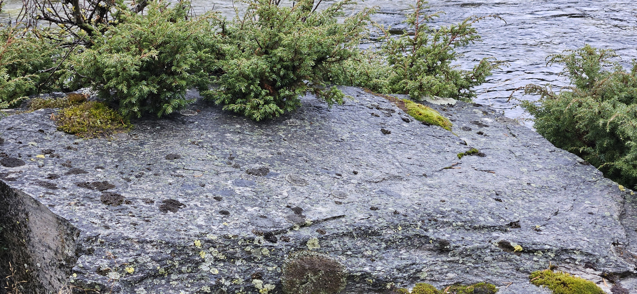 Wo man hin schaut...