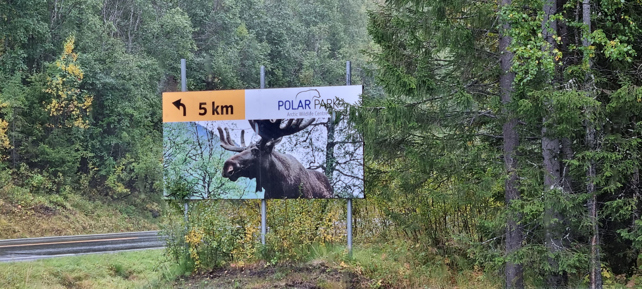 Hoffentlich bekommen wir am Schlafplatz wirklich einen Elch zu sehen