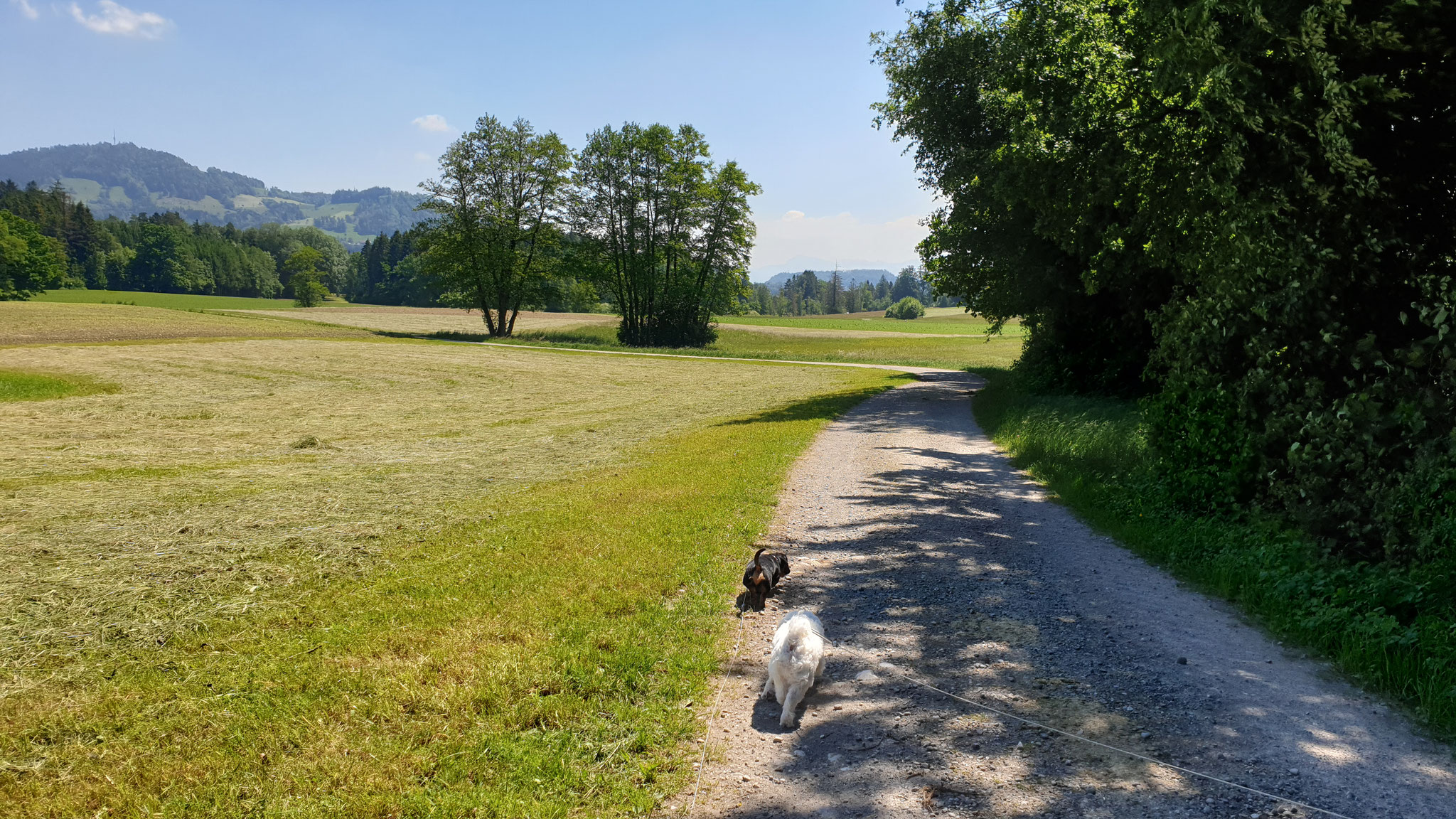 ...ganz alleine unterwegs bei herrlichem Sonnenschein